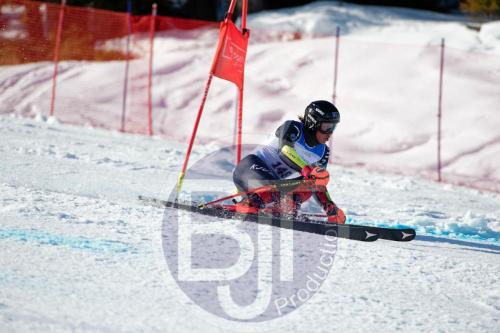 BJT10073 DxO
