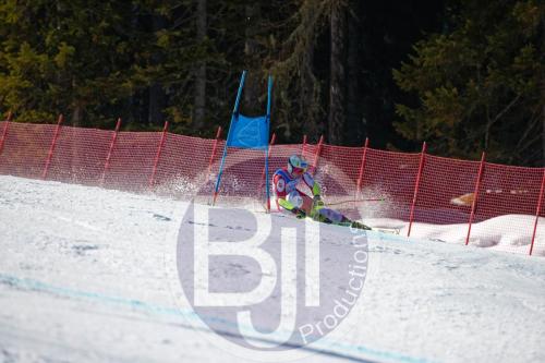 BJT10074 DxO