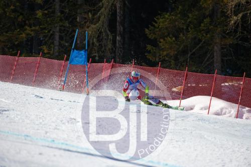 BJT10075 DxO