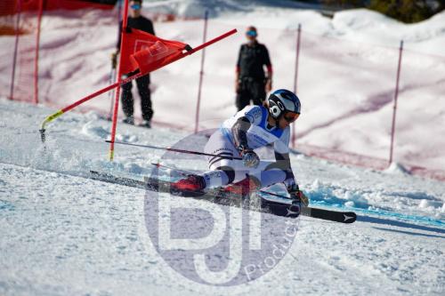 BJT10084 DxO