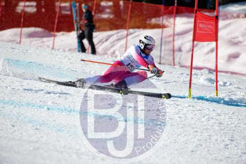 BJT10087 DxO