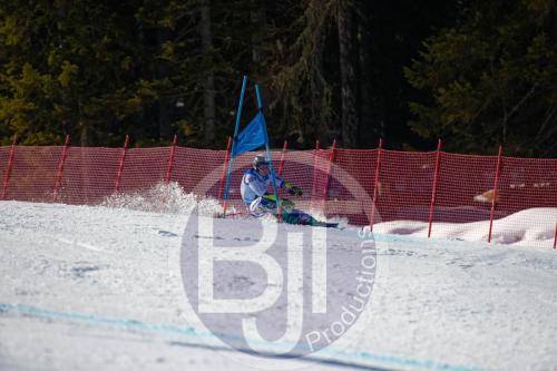 BJT10089 DxO