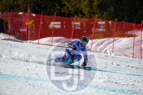 BJT10091 DxO