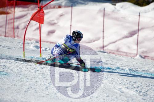 BJT10093 DxO