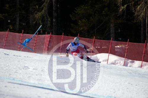BJT10095 DxO