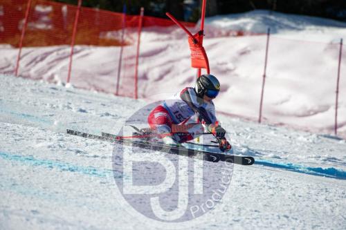 BJT10097 DxO