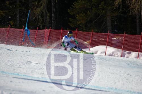 BJT10099 DxO