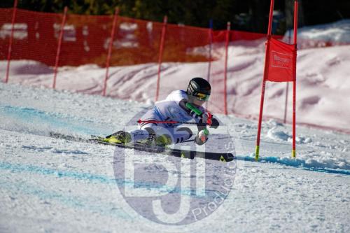 BJT10102 DxO