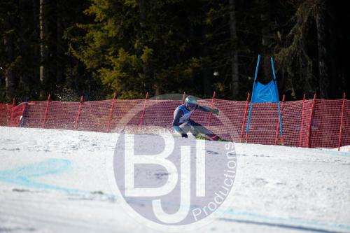 BJT10110 DxO