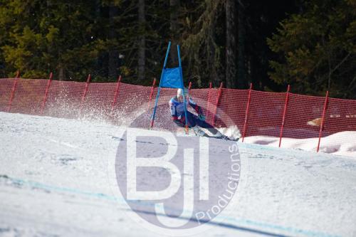 BJT10121 DxO