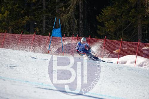 BJT10122 DxO