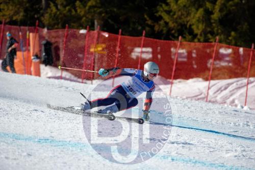 BJT10124 DxO