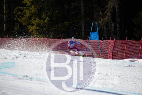 BJT10128 DxO