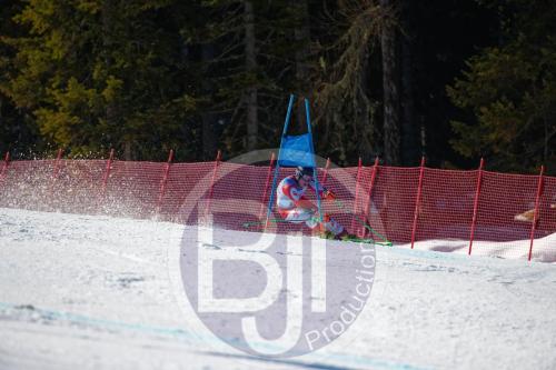 BJT10129 DxO