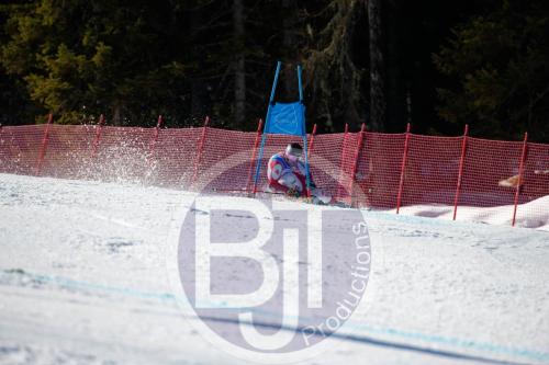 BJT10133 DxO
