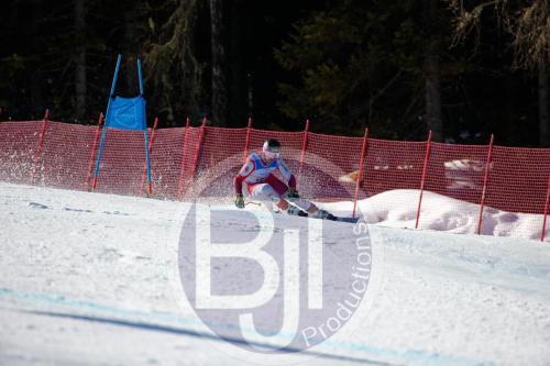 BJT10135 DxO