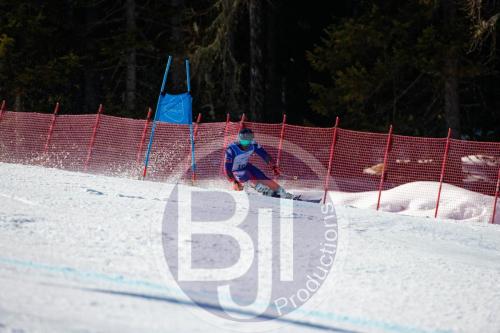 BJT10138 DxO