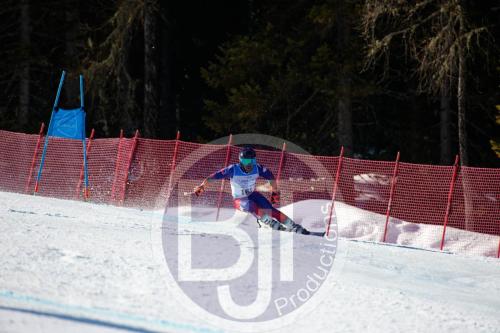 BJT10140 DxO