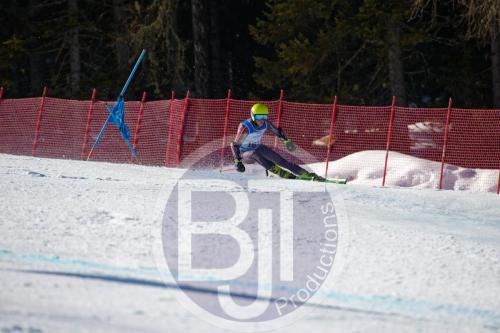 BJT10144 DxO