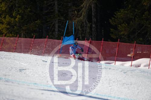 BJT10152 DxO