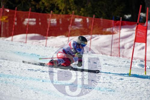 BJT10154 DxO