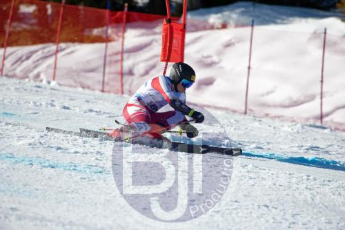 BJT10155 DxO