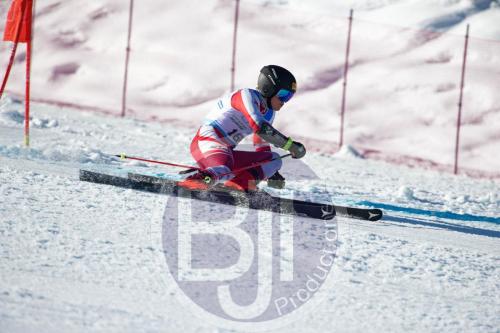 BJT10156 DxO