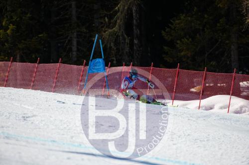 BJT10157 DxO