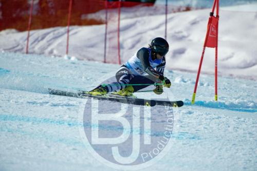 BJT10195 DxO