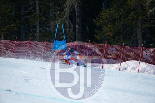 BJT10197 DxO