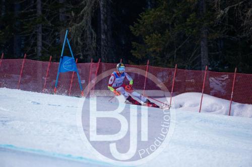 BJT10213 DxO