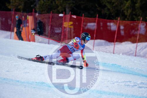 BJT10216 DxO