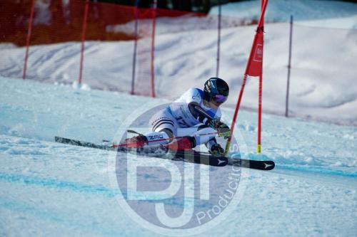 BJT10229 DxO