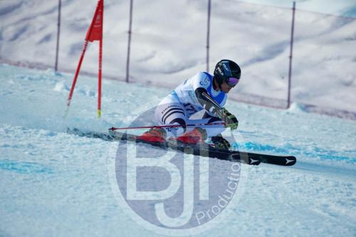BJT10230 DxO