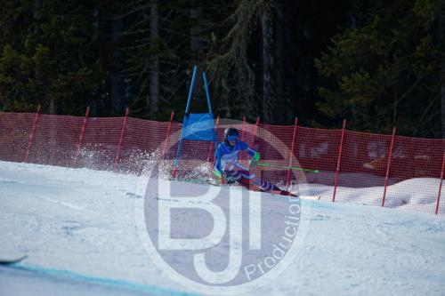 BJT10231 DxO