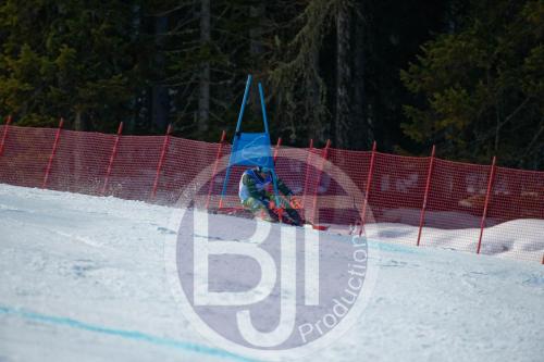 BJT10237 DxO