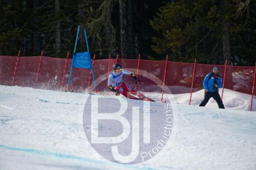 BJT10242 DxO