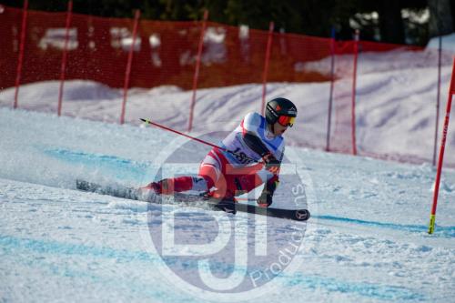 BJT10245 DxO