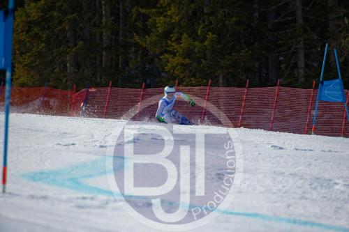BJT10248 DxO