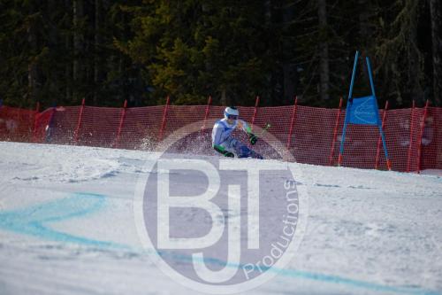 BJT10249 DxO