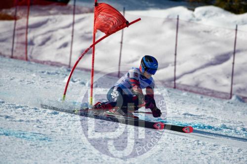 BJT10264 DxO