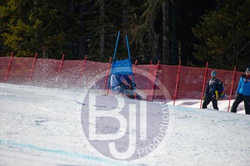 BJT10267 DxO