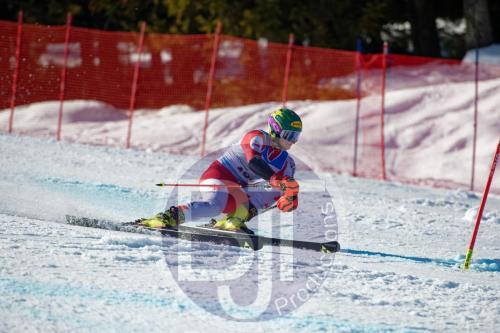 BJT10274 DxO