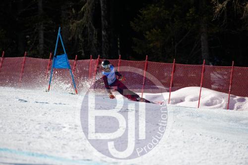 BJT10277 DxO