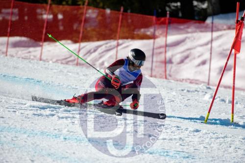 BJT10279 DxO