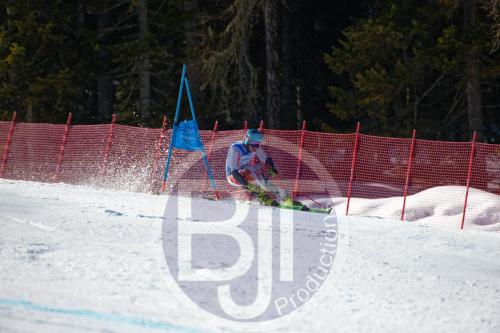 BJT10288 DxO