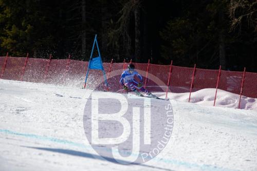 BJT10304 DxO