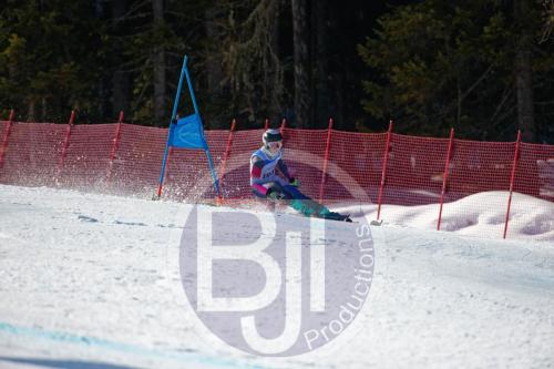 BJT10310 DxO