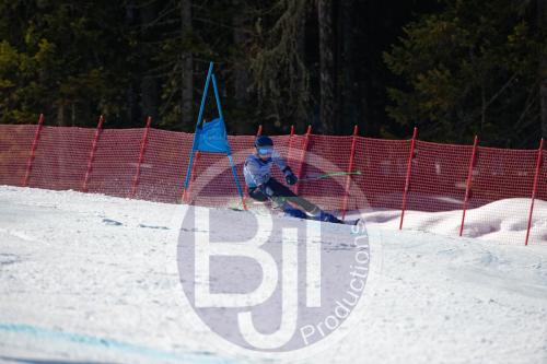BJT10318 DxO