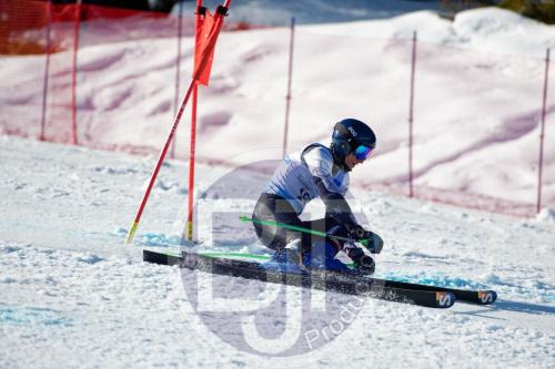 BJT10322 DxO